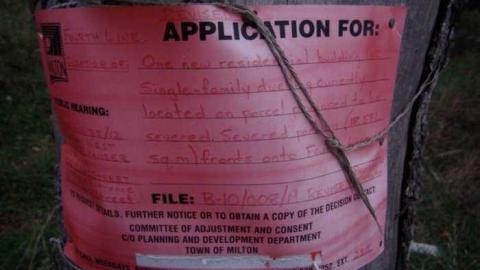 Oct, 2013 - H(ave)-A-Peacock13.jpg