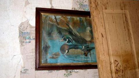 Hall House - PA253574.jpg