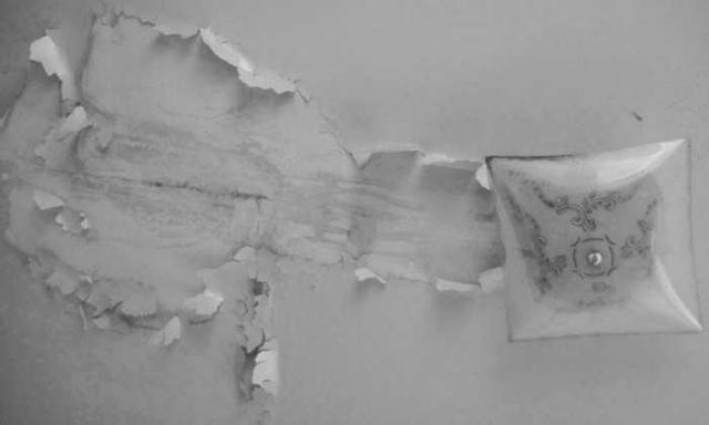 Southdale Rd House photo 4