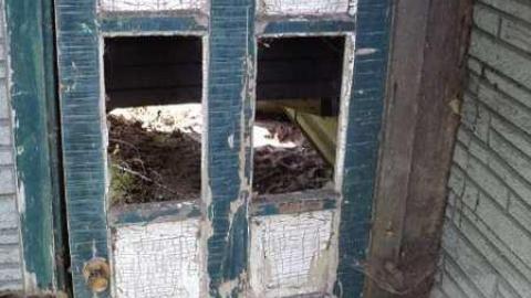 House - DSC04749.jpg