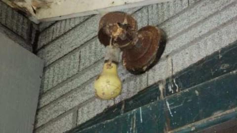 House - DSC04751.jpg