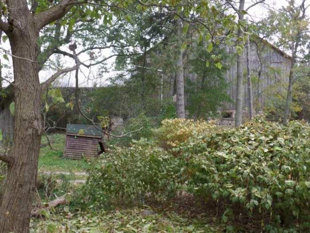 T&B Rock (After the Attack) - Tall-Red-on-86101.jpg