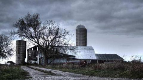 Bad To The Bones - 1a.jpg