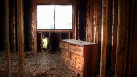 Bad To The Bones - 4.jpg