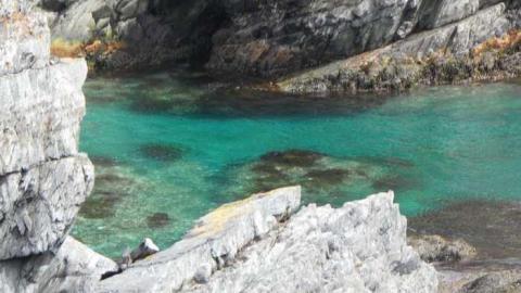 Bay Roberts Old Gravesite photo 5