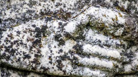 Photo from Nov 1 2013