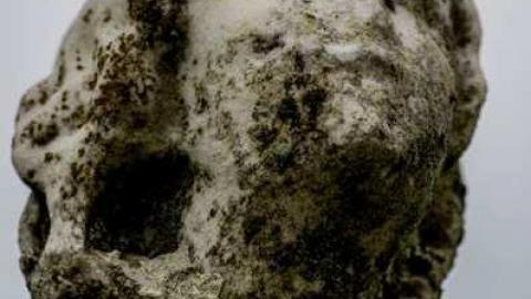 Photo from Nov 1 2013