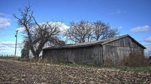 Hey Now, Hey Now - DSC_0126.jpg