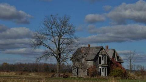 Nov2013 - S0785078.jpg