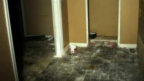 Wanderlust - Want-More-Wanless15.jpg