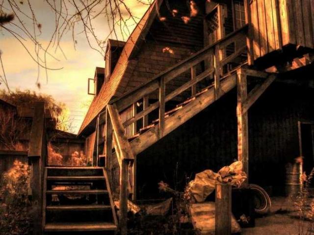 Want More Wanless photo 5