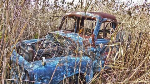 November, 2013 - 4.jpg