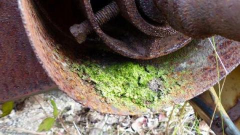 November, 2013 - 9.jpg