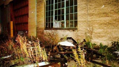 Photo from An Inside Look