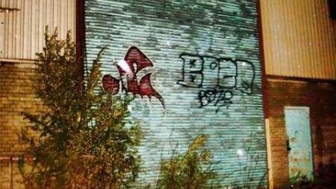 An Inside Look - 1459874_10151950184700218_1323924638_n.jpg