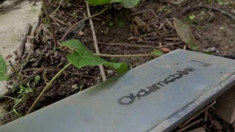 April2013 - Beauty-is-Only-Exterior-Deep4.jpg