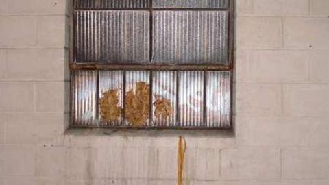 Parish Will Perish - St.-Leos-Parish-Hall15.jpg