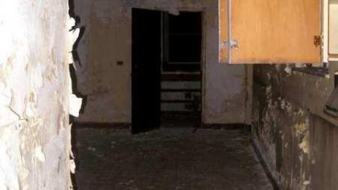 Parish Will Perish - St.-Leos-Parish-Hall16.jpg