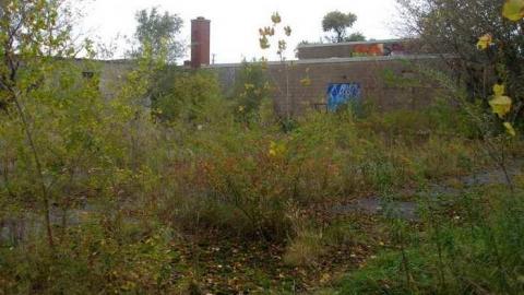 Parish Will Perish - St.-Leos-Parish-Hall25.jpg