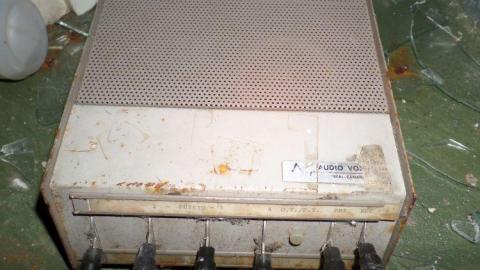 Sick & Crazy - Hamilton-TB-Sanitorium3.jpg