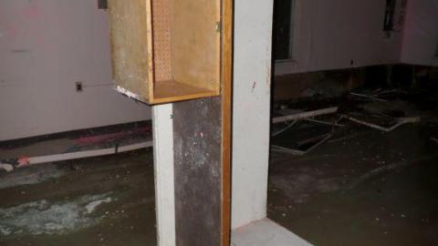 Sick & Crazy - Hamilton-TB-Sanitorium238.jpg