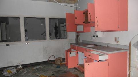 Sick & Crazy - Hamilton-TB-Sanitorium249.jpg