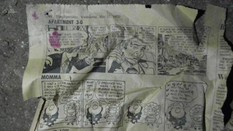 Sick & Crazy - Hamilton-TB-Sanitorium243.jpg