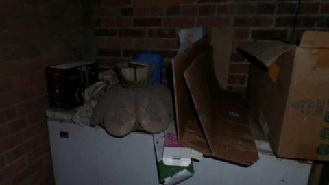 Bats! (June, I think) - SAM_1945.jpg