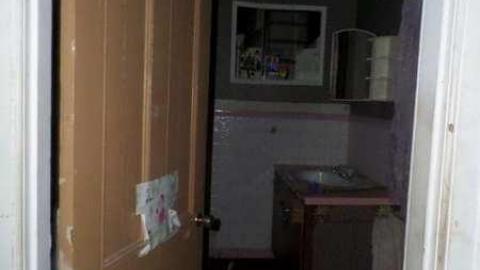 Bats! (June, I think) - SAM_1954.jpg