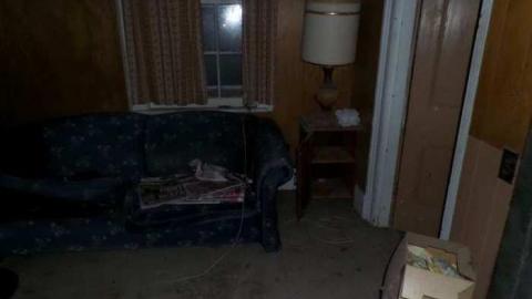 Bats! (June, I think) - SAM_1958.jpg