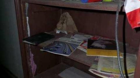 Bats! (June, I think) - SAM_1969.jpg