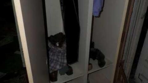 Bats! (June, I think) - SAM_1974.jpg