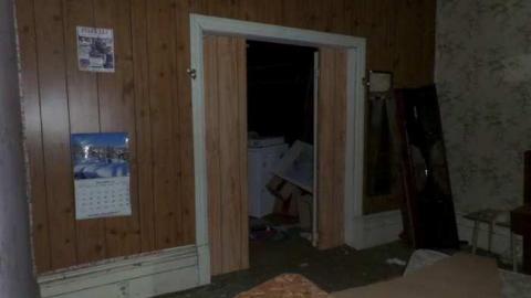 Bats! (June, I think) - SAM_1975.jpg