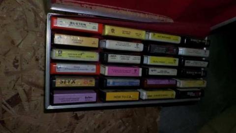 Bats! (June, I think) - SAM_1977.jpg