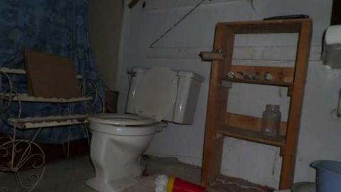 Bats! (June, I think) - SAM_1982.jpg