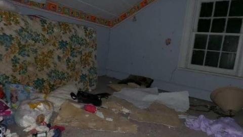 Bats! (June, I think) - SAM_1984.jpg