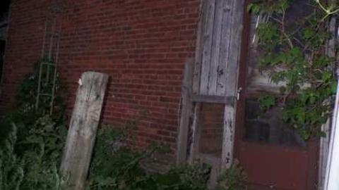 Bats! (June, I think) - SAM_1949.jpg