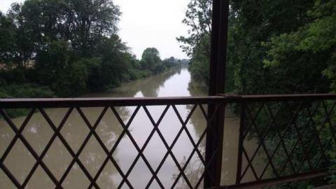 Old Bog Line Bridge - Old-Bog-Line-Bridge19.jpg