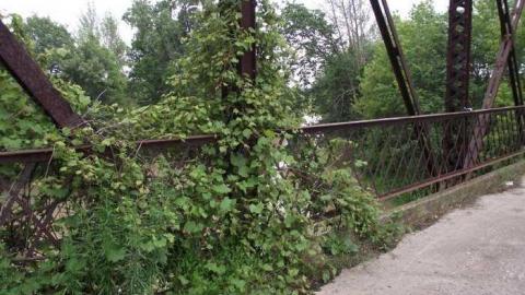 Old Bog Line Bridge - Old-Bog-Line-Bridge5.jpg