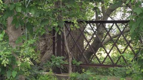 Old Bog Line Bridge - Old-Bog-Line-Bridge7.jpg