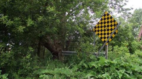 Old Bog Line Bridge - Old-Bog-Line-Bridge22.jpg