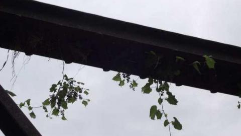 Old Bog Line Bridge - Old-Bog-Line-Bridge24.jpg