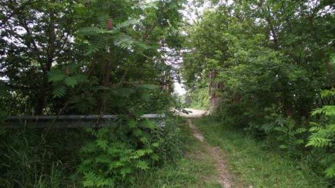 Old Bog Line Bridge - Old-Bog-Line-Bridge26.jpg