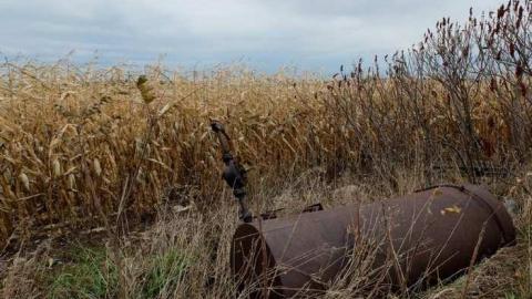 Nov2013 - S0198019.jpg