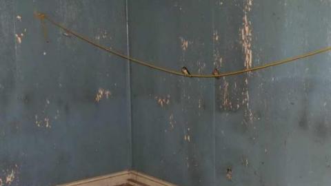 House # 2 - Twosome15.jpg