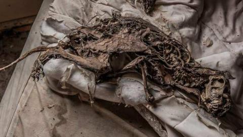 NOV 2013 - Chatham WITM-4473.jpg