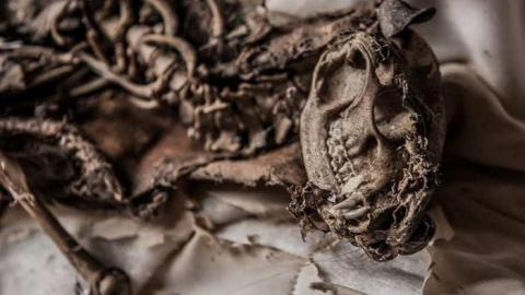 NOV 2013 - Chatham WITM-4472.jpg