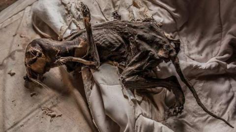 NOV 2013 - Chatham WITM-4471.jpg