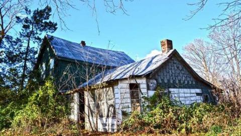 Nov/13 - DSC_0929.jpg