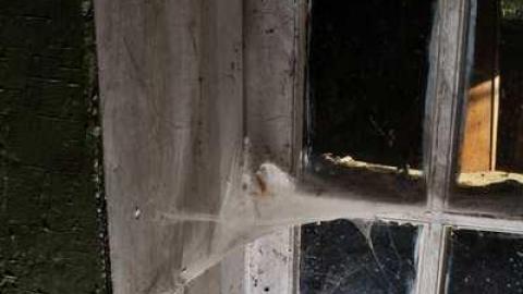 Nov/13 - DSC_0966.jpg